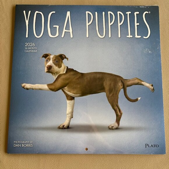 Yoga Puppies 2026 Wall Calendar 16 Months 12"x12" - NEW-SEALED - Picture 1 of 2